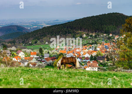 Brabancon cavallo belga sul terreno coltivabile pascolo, Alsazia, Francia Foto Stock