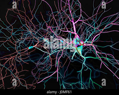 Cervello, neuroni e sinapsi, rete neurale circuito di neuroni, malattie degenerative, morbo di Parkinson, rendering 3D Foto Stock