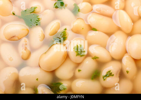 Close-up di bianco zuppa di fagioli con foglie di sedano rapa Foto Stock