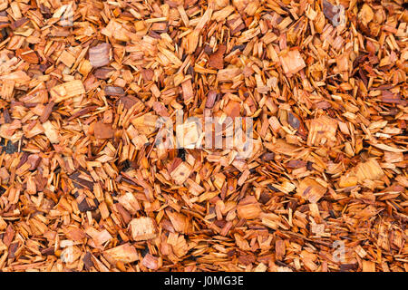 Vista di trucioli di legno pronto per l'elaborazione Foto Stock