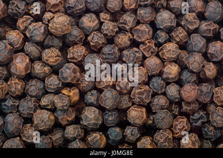 Pepe nero (Piper nigrum) frutti vicino. Full frame shoot. Foto Stock