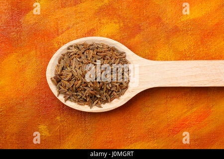 Carvi (Carum carvi) frutti sul cucchiaio di legno dipinte su sfondo tessili Foto Stock