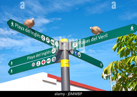 Cartello, Playa de Ingles Promenade, Gran Canaria, Spagna Foto Stock