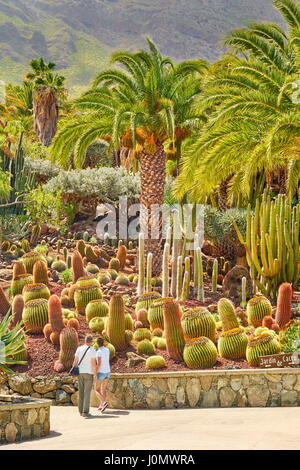 Turisti nel giardino di cactus, Gran Canaria, Spagna Foto Stock