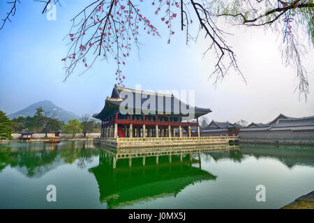 Sakura o fiore di ciliegio presso il Palazzo Gyeongbokgung a Seul, in Corea del Sud. Foto Stock