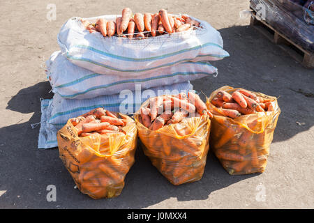 Samara, Russia - 26 settembre 2015: Le carote fresche pronti per la vendita al mercato degli agricoltori Foto Stock