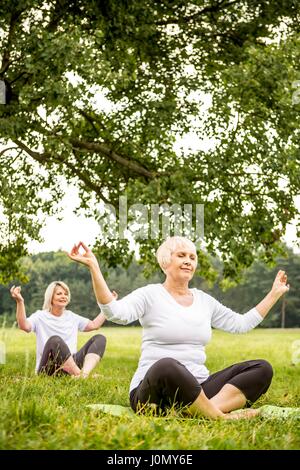 Due donne a fare yoga in campo. Foto Stock