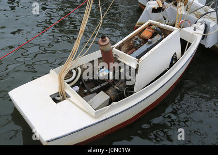 Spingere la barca a poppa di palamite Foto Stock