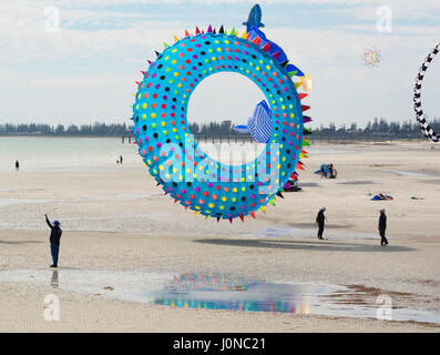 Semaforo, South Australia, Australia - 15 Aprile 2017: battenti di una figura di kite in forma di ricci di mare a Adelaide International Kite Festival Credito: Sharon vuole/Alamy Live News Foto Stock