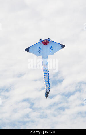 Semaforo, South Australia, Australia - 15 Aprile 2017: Bianco stingray figura aquiloni a Adelaide International Kite Festival. Credito: Sharon vuole/Alamy Live News Foto Stock