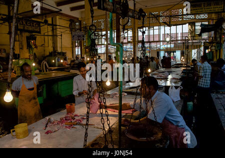 Il pesce e pollame sezioni del mercato Hogg in Calcutta Foto Stock