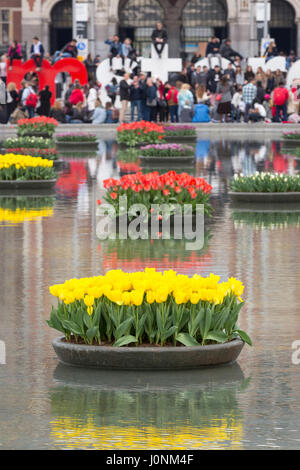 Fiori in stagno davanti al Rijksmuseum, con molti turisti su e intorno alla Iamsterdam segno. Foto Stock