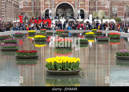 Fiori in stagno davanti al Rijksmuseum, con molti turisti su e intorno alla Iamsterdam segno. Foto Stock