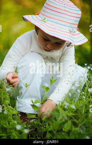 Bambina la raccolta di piante in foresta Foto Stock