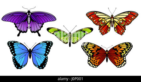 Una serie di coloratissime farfalle Foto Stock
