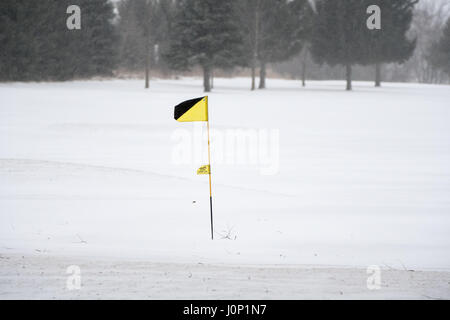 Un flag su un campo da golf insufflaggio durante una tempesta di neve. Foto Stock