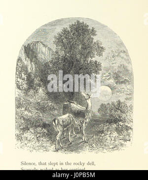 Un'illustrazione di "Wood-side e Sea-side", che cattura la bellezza della natura attraverso disegni dettagliati a penna e matita. Il libro esplora vari paesaggi panoramici, mescolando foreste e ambienti costieri. Foto Stock