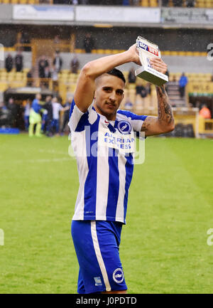 Anthony Knockaert di Brighton celebra la vittoria durante il cielo di scommessa match del campionato tra Wolverhampton Wanderers e Brighton e Hove Albion a Molineux a Wolverhampton. Aprile 14, 2017. Solo uso editoriale FA Premier League e Football League immagini sono soggette a licenza DataCo vedere www.football-dataco.com Foto Stock