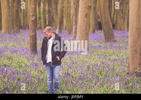 Bionda uomo in un Bluebell legno, Wiltshire Foto Stock