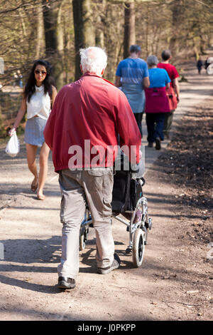 Coppia (una persona in sedia a rotelle) godetevi la passeggiata / percorso a Alderley Edge, Regno Unito. Foto Stock