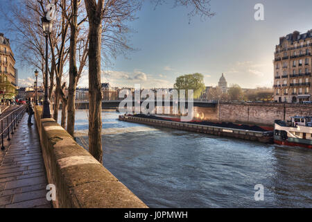 Vista dal Quai de Bourbon sul Pont Saint-Louis, Quai aux fleurs e Senna. La Francia. Parigi Foto Stock
