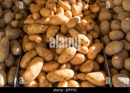 Mercato settimanale, mercato stand, verdure fresche, patate, diverse varietà, Foto Stock