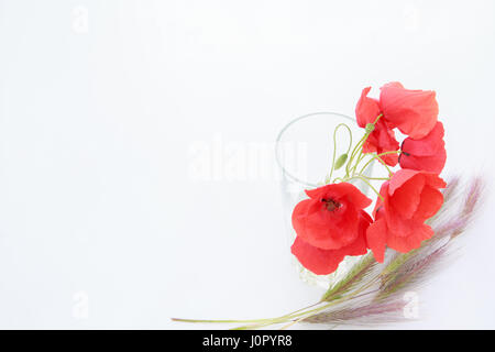 Sfondo bianco con posto vuoto per iscrizione con bouquet papaveri rossi in un vetro trasparente su un foglio bianco con spighe di grano Foto Stock