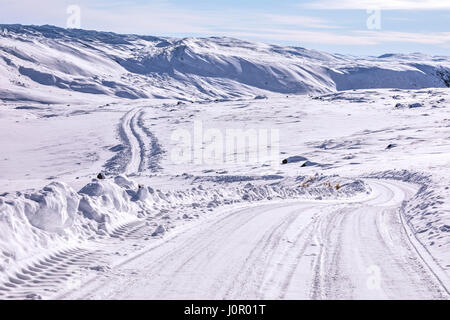 Strada più lunga in Groenlandia vicino a Kangerlussuaq, Circolo Polare Artico, Groenlandia, Europa Foto Stock