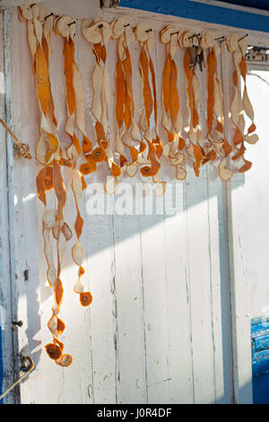 Ricci essiccato a buccia d'arancia, succo di stallo, villaggio Essaouira, Marocco Foto Stock