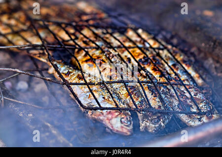 Materie Sardine barbecue, Marocchina street food Foto Stock