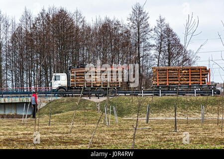 Offerte carrello trasporta i tronchi di alberi abbattuti Foto Stock