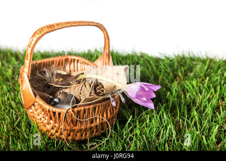 Idea di giardinaggio strumenti fiore viola in una pentola Foto Stock