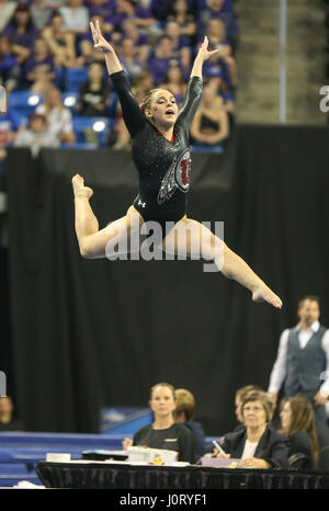 San xv Apr, 2017. Utah's Macey Roberts salta in aria durante il Super sei finali del 2017 NCAA donna collegiale nazionale di ginnastica campionati a Chaifetz Arena di San Louis, MO. Kyle Okita/CSM/Alamy Live News Foto Stock