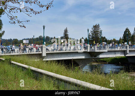 Santa Cruz, in California, Stati Uniti d'America. Il 15 aprile, 2017. Manifestanti marzo downtown di chiedere il rilascio del Presidente Trump's tasse. Iris Photoimages/Alamy Live News Foto Stock
