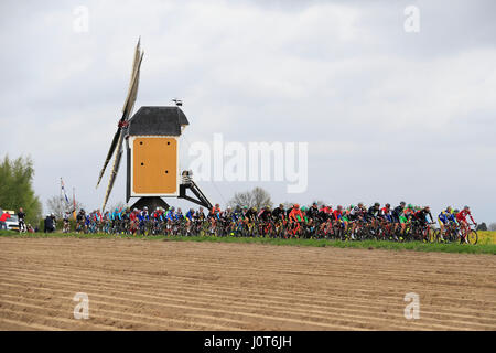16 aprile 2017 52nd Amstel Gold Race Peloton foto: Cronos/Yuzuru Sunada Foto Stock