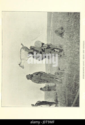 Un'esplorazione dettagliata delle antiche regioni di Moab, Ammon e Gilead, con illustrazioni e una mappa per fornire approfondimenti sul loro significato storico e geografico. Foto Stock