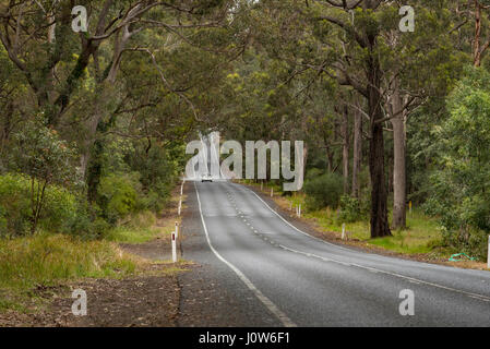 Un lungo tratto di strada rettilineo nel paese del Nuovo Galles del Sud, Australia, foderato con alberi di gomma Foto Stock