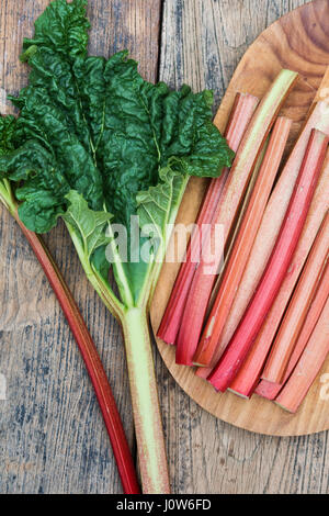 Rheum rhabarbarum. Raccolte di rabarbaro bastoni su una tavola di legno Foto Stock