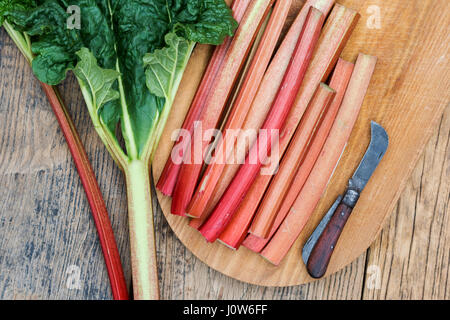 Rheum rhabarbarum. Raccolte di rabarbaro bastoni su una tavola di legno Foto Stock