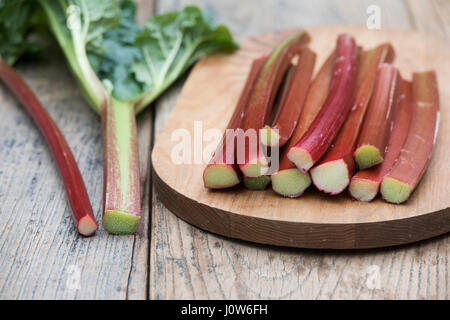 Rheum rhabarbarum. Raccolte di rabarbaro bastoni su una tavola di legno Foto Stock