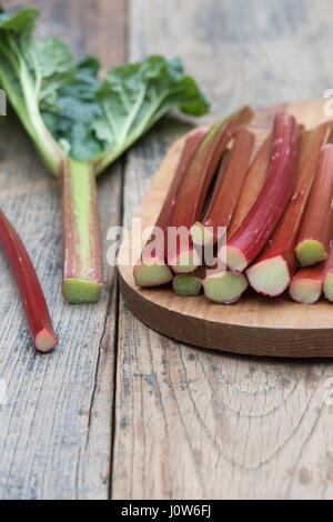 Rheum rhabarbarum. Raccolte di rabarbaro bastoni su una tavola di legno Foto Stock