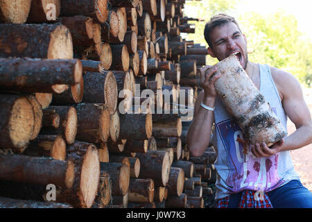 Un uomo in fabbrica lavorazione del legno, i registri di sezionatura Foto Stock