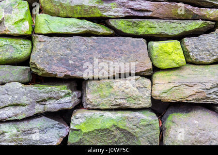 Una particolare immagine di numerose pietre spiovente in una parete di roccia Foto Stock