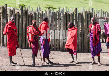 Cinque Guerrieri Maasai nel Ngorongoro Conservation Area villaggio Masai, Tanzania Foto Stock