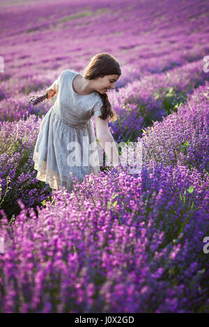 Ragazza nel campo di lavanda fiori di prelievo Foto Stock