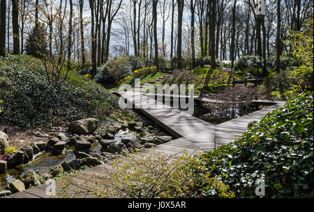 Un olandese giardino di fiori in primavera con i tulipani e cascate Foto Stock