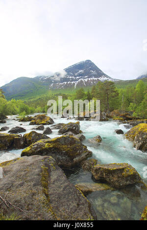 Beautigul potente fiume glaciale in estate, Norvegia Foto Stock