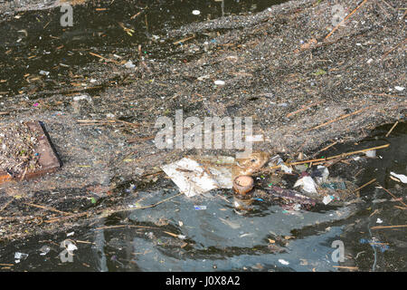 Inquinamento e spazzatura galleggiante sull'acqua nel porto olandese Foto Stock