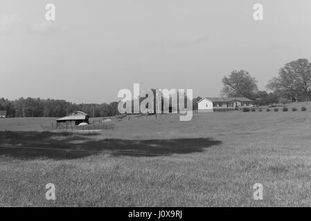 Una vista panoramica di terra agricola. Foto Stock