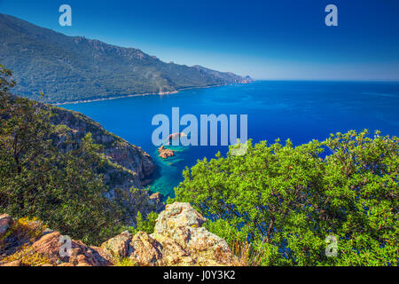 Vista dal celebre D81 strada costiera con vista del Golfe de Girolata dalla bocca di Palmarella, Corsica, Francia, Europa. Foto Stock